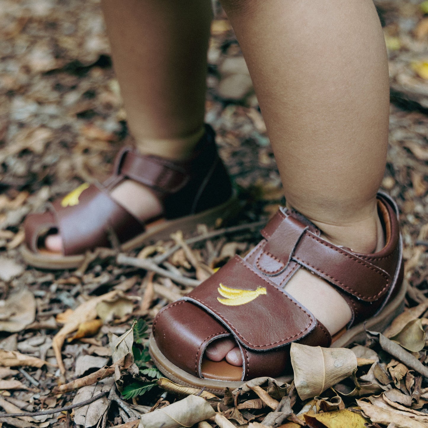 Louie Sandals in Chocolate