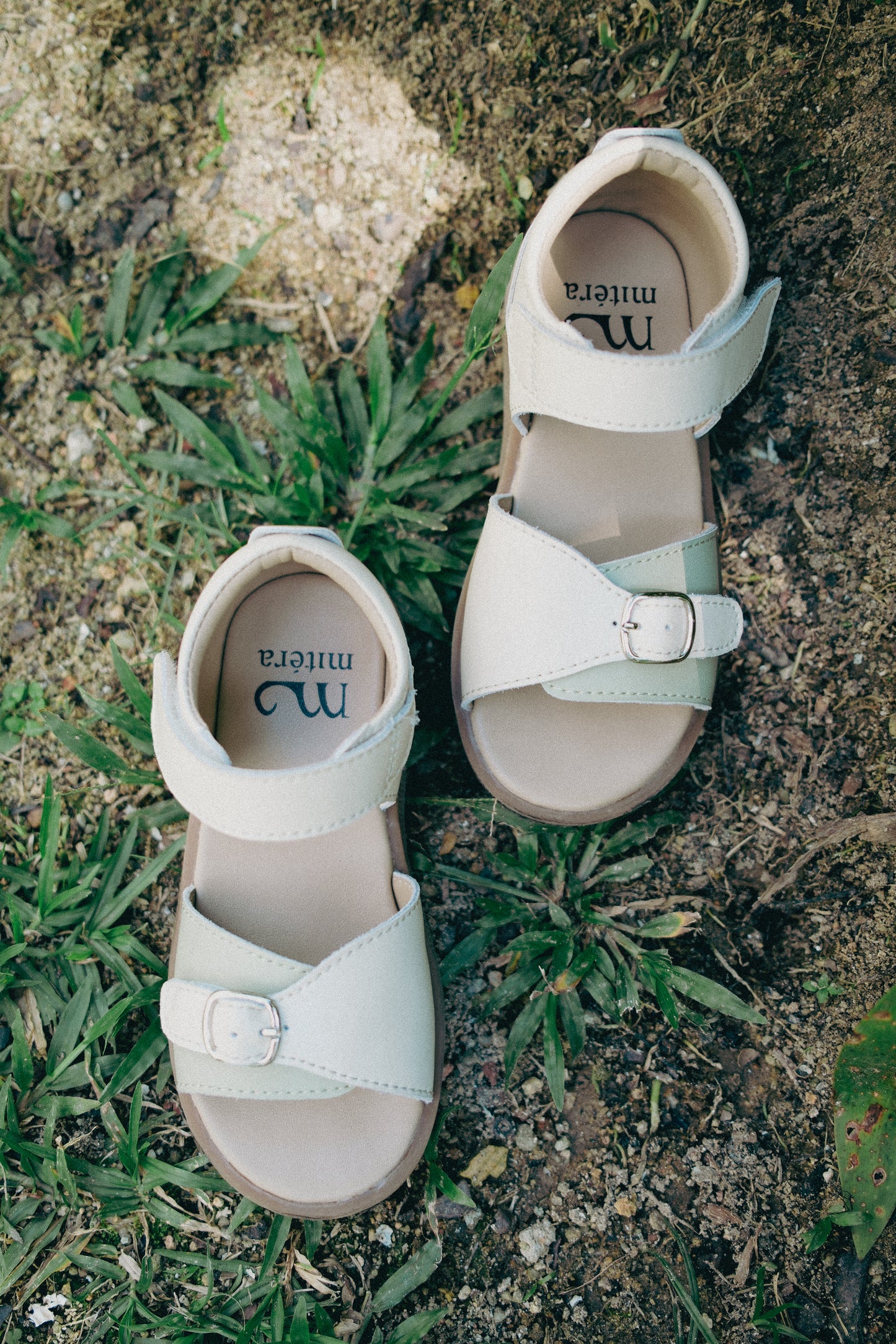 Woodland Steps Sandals in Sage