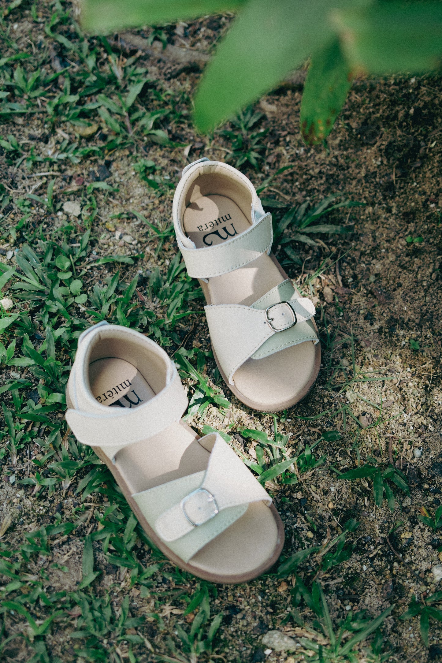 Woodland Steps Sandals in Sage