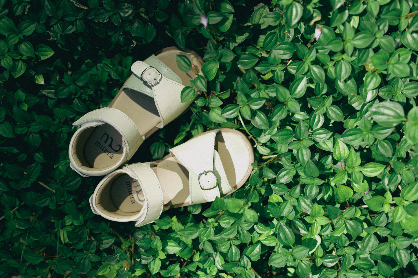 Woodland Steps Sandals in Sage